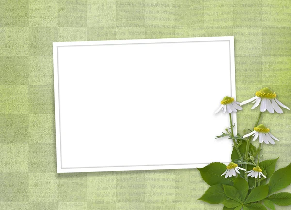 Hintergrund mit Blumenstrauß — Stockfoto