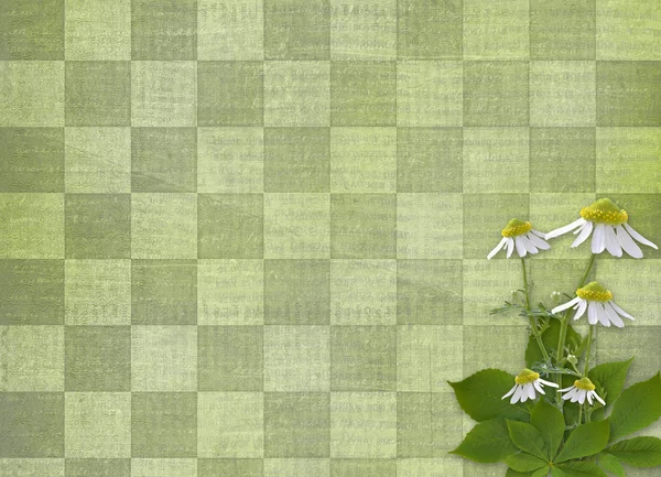 Abstracte achtergrond met bos van bloem — Stockfoto