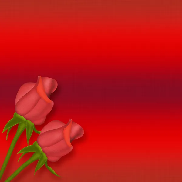 Две красные розы — стоковое фото