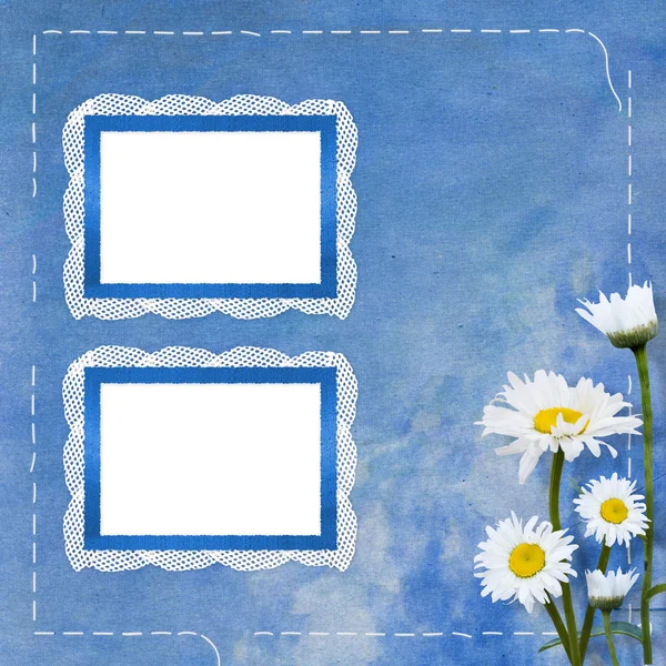 Lace frames with bunch of flower — Stock Photo, Image