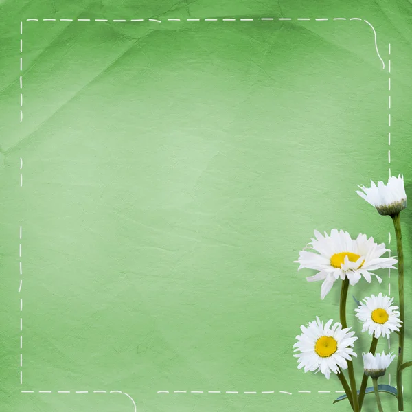 Gamla papper med massa blomma — Stockfoto