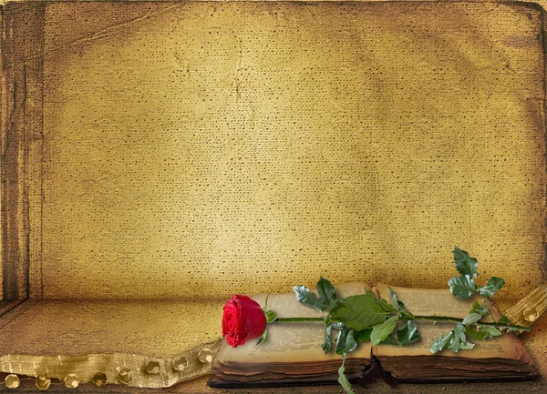 Ανοίξτε το αρχαίο βιβλίο με τριαντάφυλλο — Φωτογραφία Αρχείου