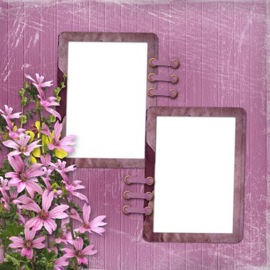Pink background with two frames