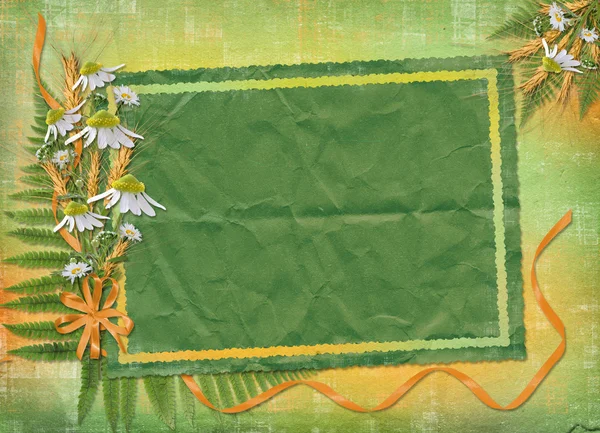 Grön abstrakt bakgrund med ram — Stockfoto