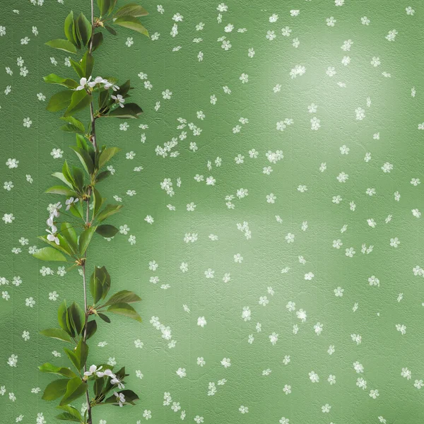 Grön abstrakt bakgrund med sakura — Stockfoto