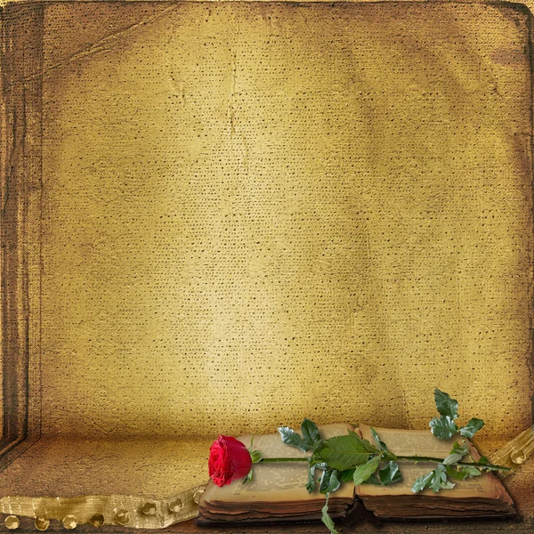 Открытая книга с красивой красной розой — стоковое фото