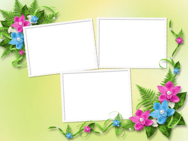 Frame for photo with orchids — Stock Photo, Image