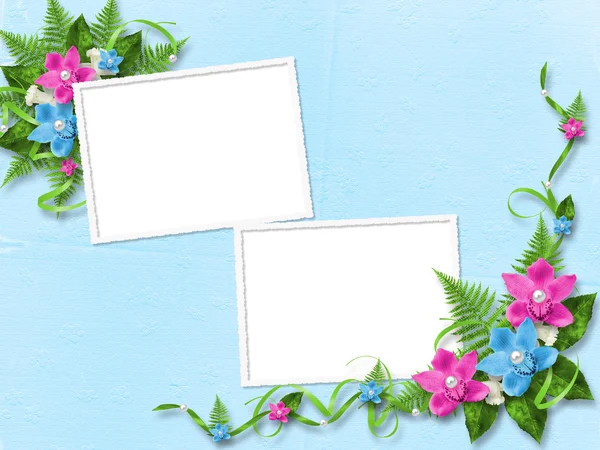 Frame for photo with blue orchids — Stock Photo, Image