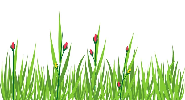 Grass grön bakgrund — Stock vektor