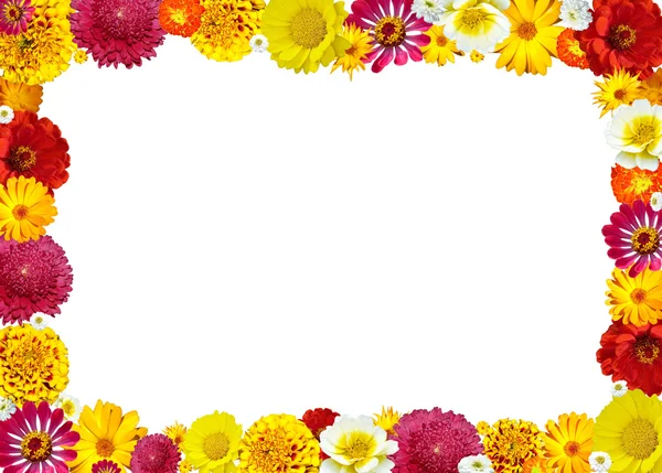 Marco de flores para foto —  Fotos de Stock