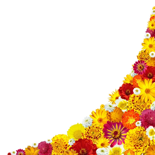 Cadre de fleurs pour photo — Photo gratuite