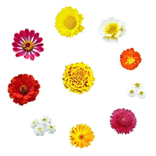 Daire içinde on çiçekler — Stok fotoğraf