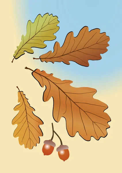 Foglie di quercia autunno — Vettoriale Stock