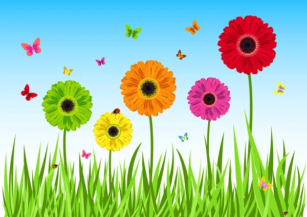 Yeşil çimen çiçek kelebek — Stok Vektör