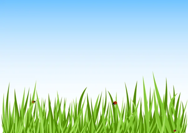 Fondo verde hierba — Vector de stock