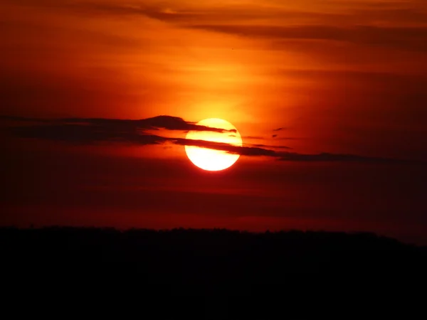 stock image Sunset over wood in the summer