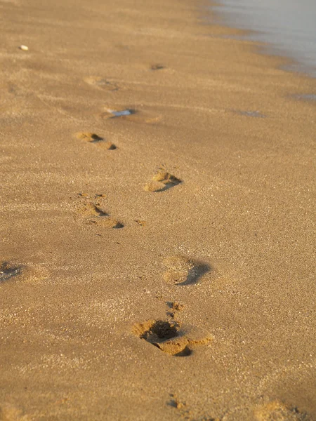 stock image Footprints