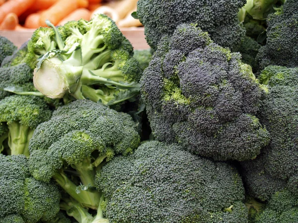 Broccoli — Fotografie, imagine de stoc