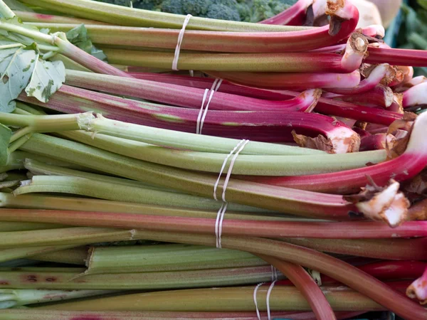 Rhubarb — Fotografie, imagine de stoc
