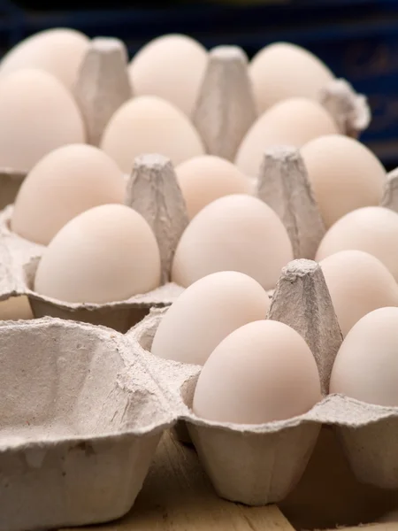 stock image Eggs