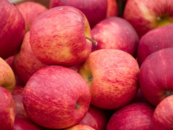 stock image Apples