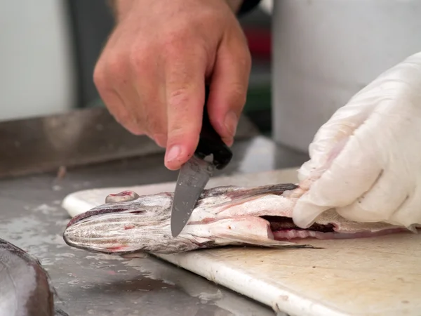 stock image Fish market