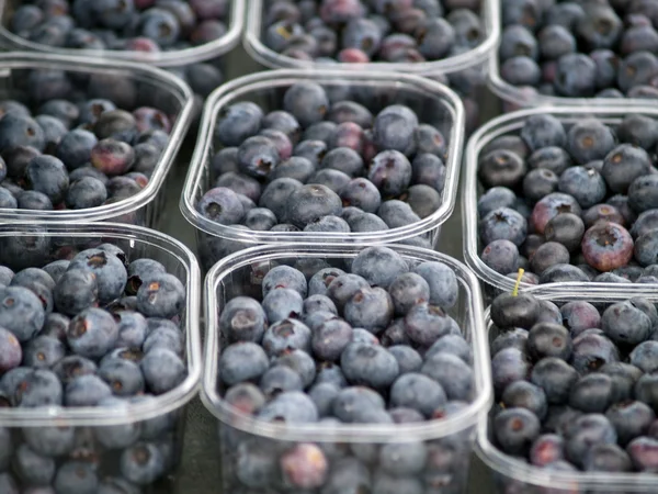 stock image Blueberries