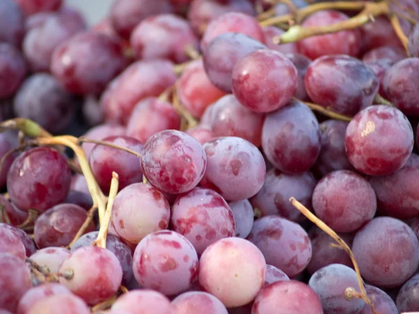 Grapes — Stock Photo, Image