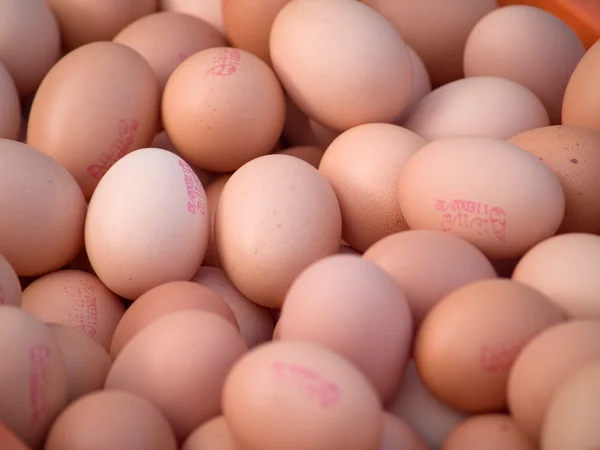 stock image Eggs