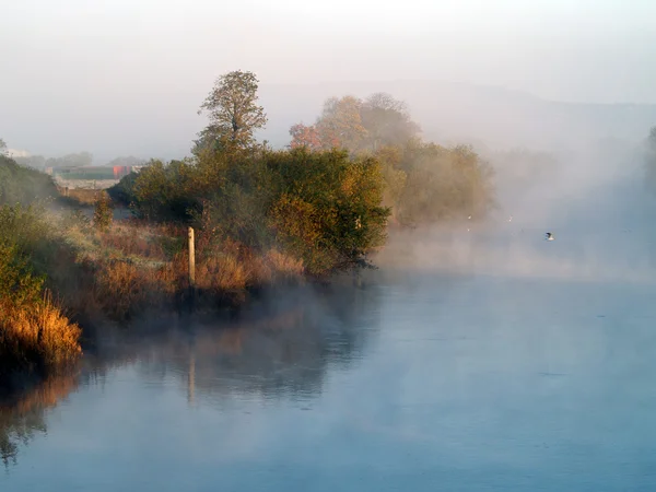 stock image Fog