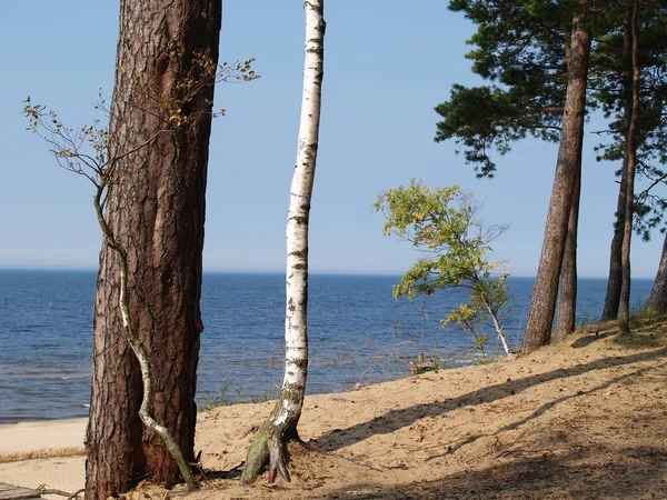 Балтійське море — стокове фото