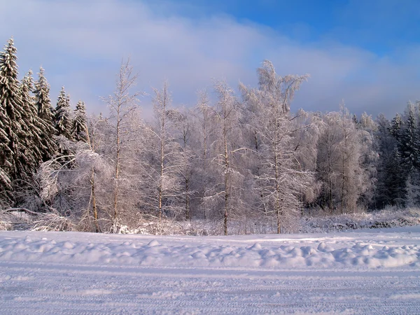 冬季 — 图库照片