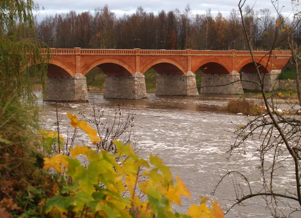 stock image Bridge