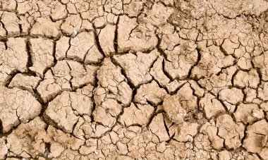 Cracked dry earth2 clipart