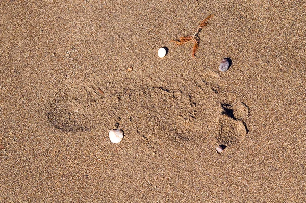 Impronta sulla sabbia bagnata — Foto Stock