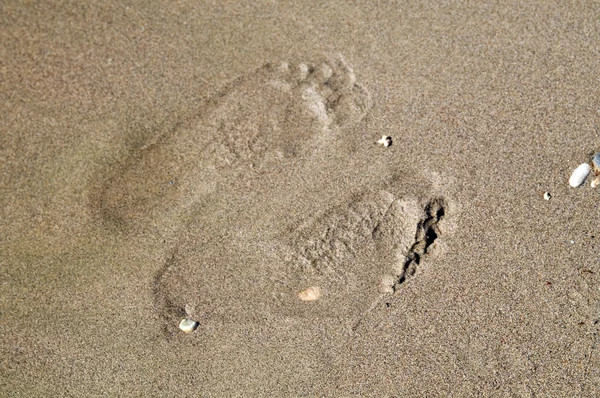 濡れた砂の上の 2 つの足跡 — ストック写真