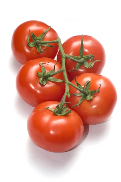 Group of five red tomato on branch — Stock Photo, Image
