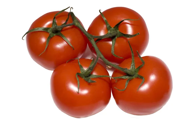 4 개의 빨간 토마토의 그룹 — 스톡 사진