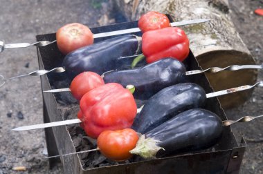 patlıcan ve kırmızı biber ızgara