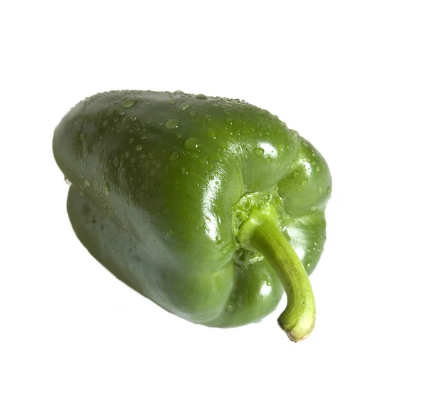 Vlhké zelené papriky — Stock fotografie