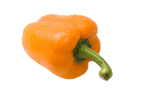 Våt orange paprika — Stockfoto