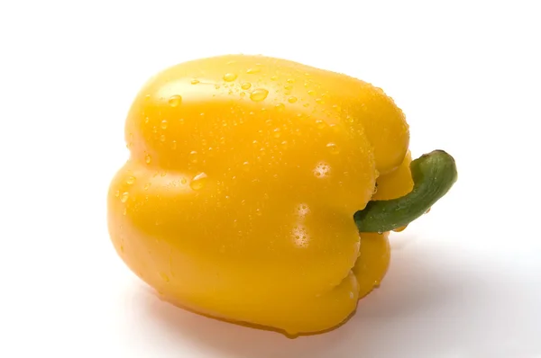 Pimentón amarillo húmedo —  Fotos de Stock