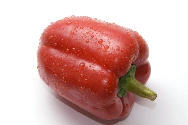 Feuchte rote Paprika — Stockfoto