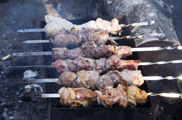 stock image Meat kebabs on grill