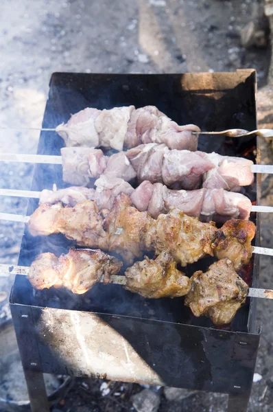 stock image Meat kebabs on grill