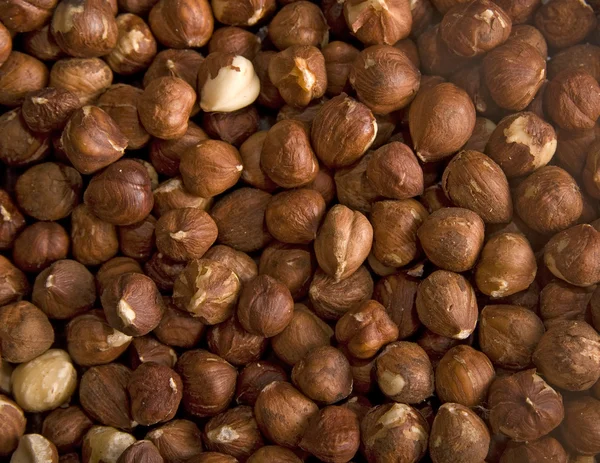 stock image Hazelnut background