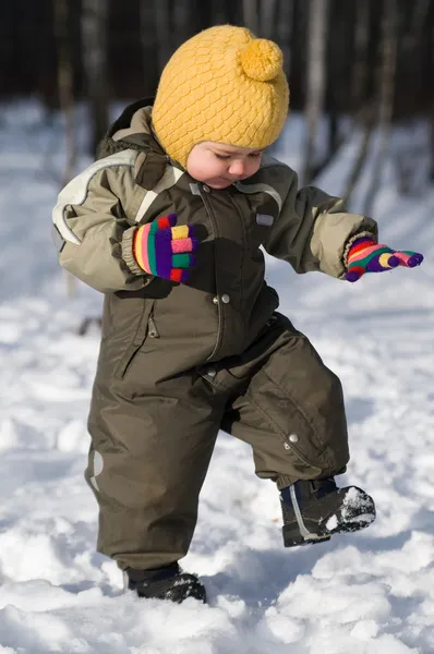 Winter baby stap tegen sneeuw bos — Stockfoto