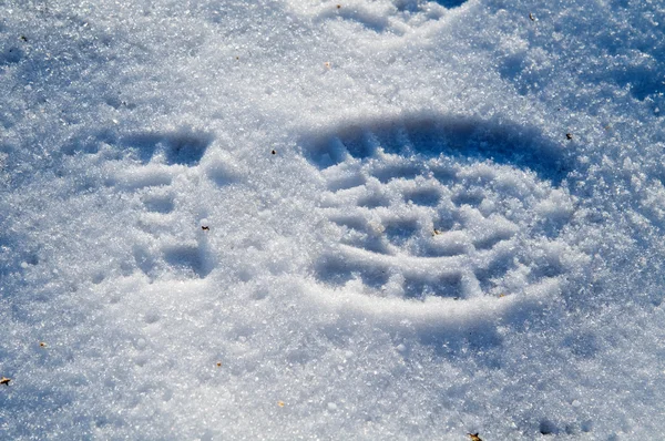 Footprint in snow — Stock Photo, Image