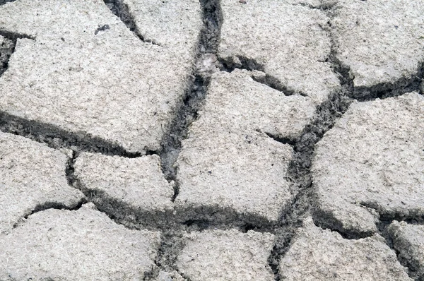 stock image Cracked dry salt lake bottom