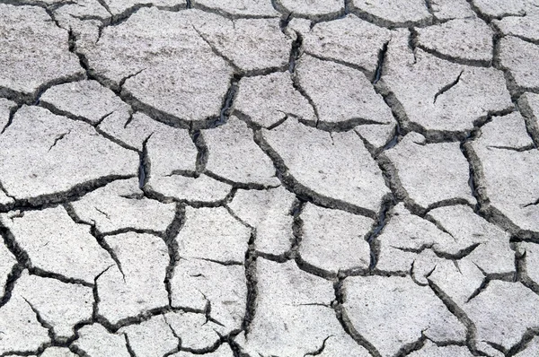 stock image Cracked dry salt lake bottom